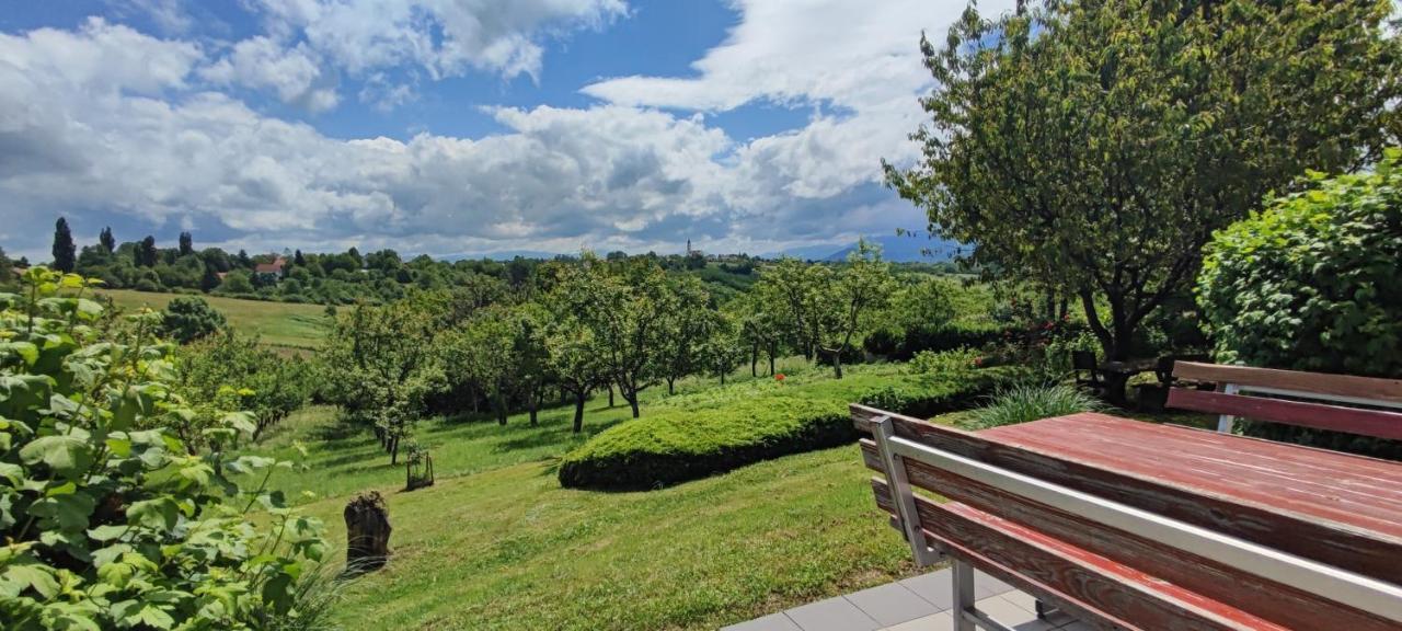 Guest House Kolic Drežnik Grad Екстериор снимка