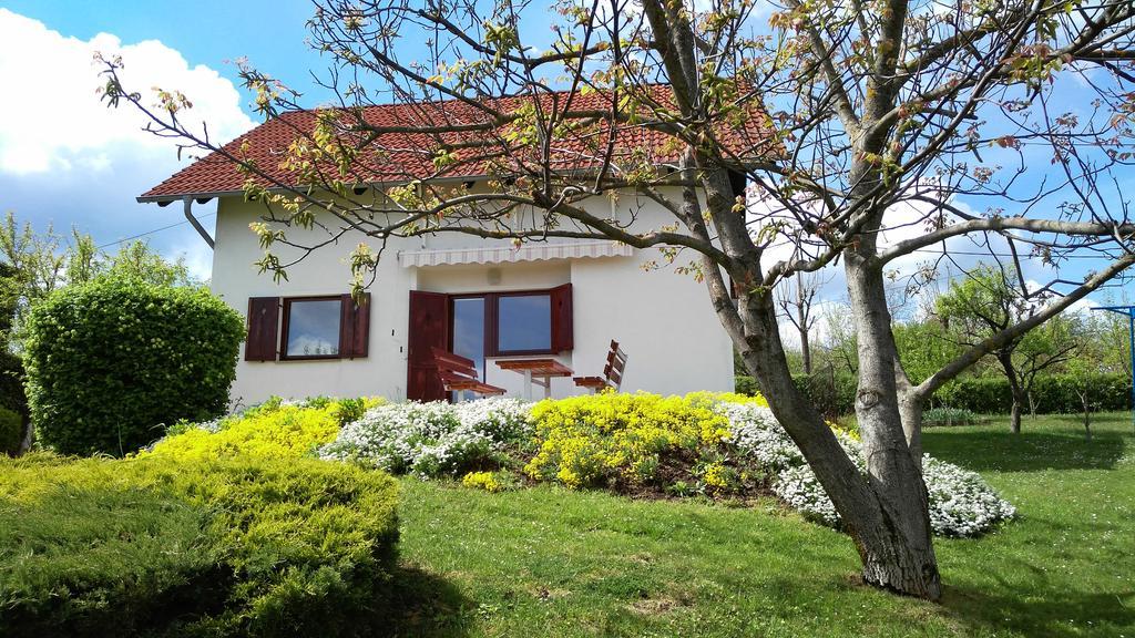 Guest House Kolic Drežnik Grad Екстериор снимка